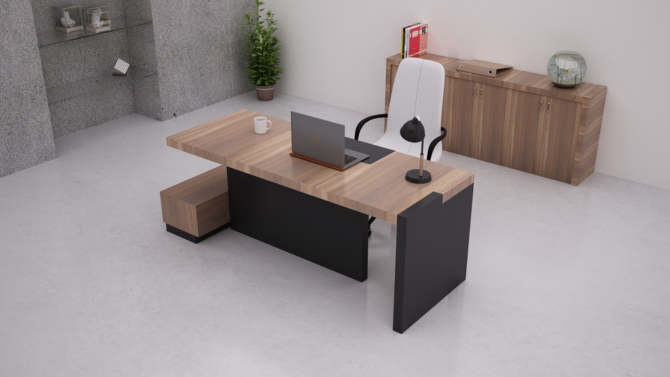 Director Suite Office Setup 5